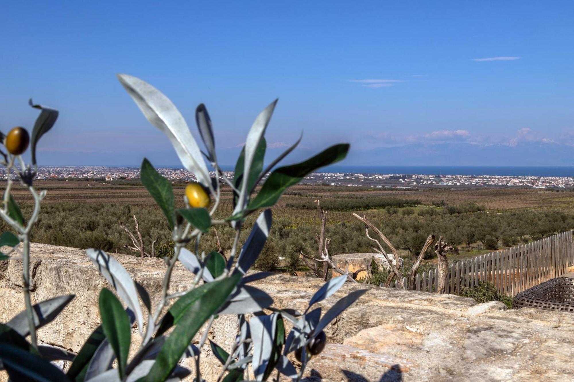 Villa The Olive Hill Ássos Esterno foto